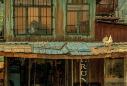 北美小屋爆料怎么做视频